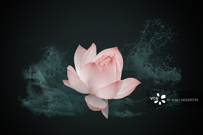 荷韻（水花四濺）圖片素材