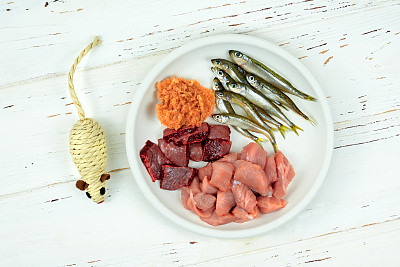 喂食碗，白色木制背景，为猫提供天然生食和玩具。俯视图图片下载