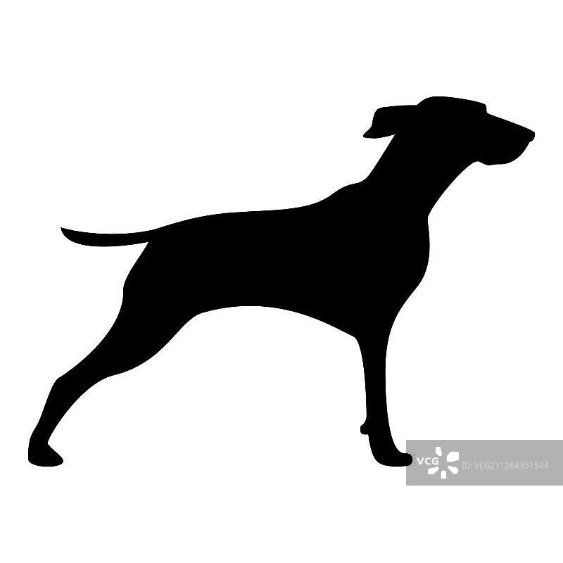 猎犬或猎犬图标图标黑色矢量插图孤立图片素材