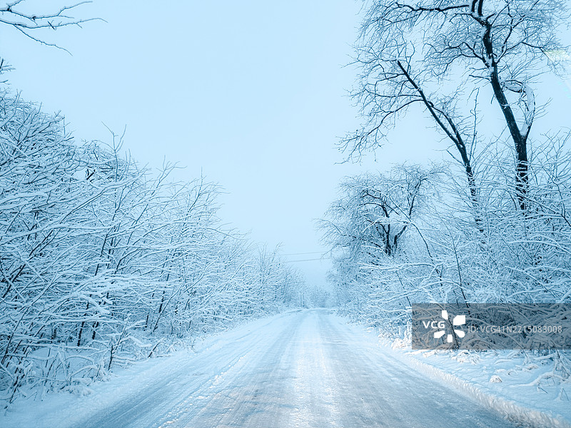 乌克兰冬季森林中的雪覆盖道路图片素材